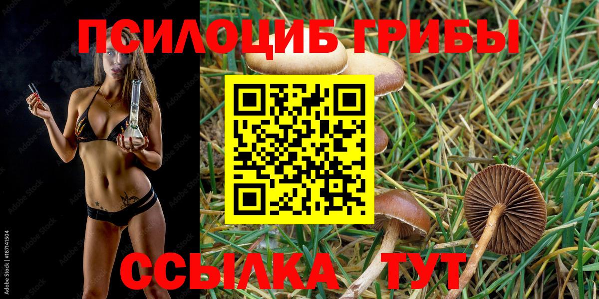 Галлюциногенные грибы Psilocybe  Вход с VPN  Галлюциногенные грибы Magic Shrooms  купить наркотики сайты  Красноуфимск 